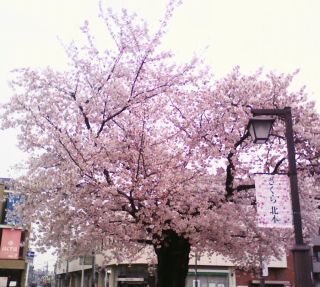 170407-071447_1.jpg