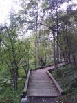 2009hoJ0010047.jpg