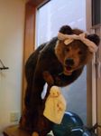2009hoJ0010074.jpg
