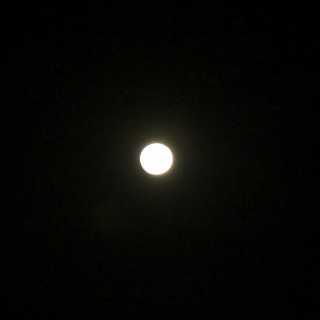 DSCF0041-2.jpg