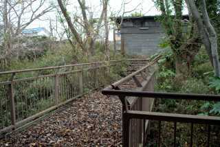 DSCF0077.jpg