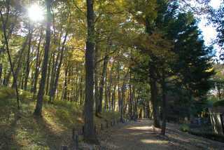 DSCF3847.jpg