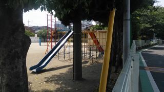 DSC_0012.jpg