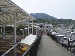 _S117011.jpg