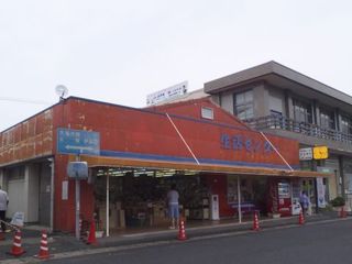 _S197020.jpg