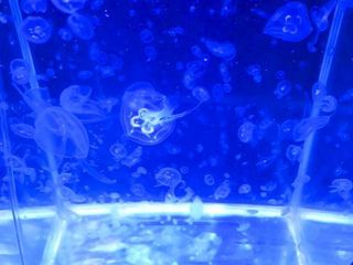 _S306031.jpg
