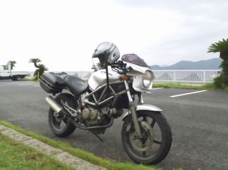 _S447045.jpg
