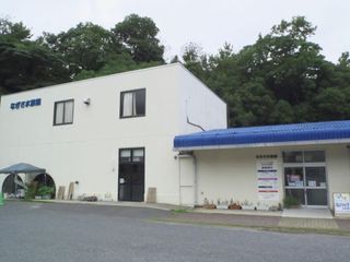_S456047.jpg