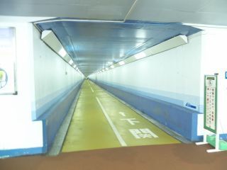 _S608061.jpg