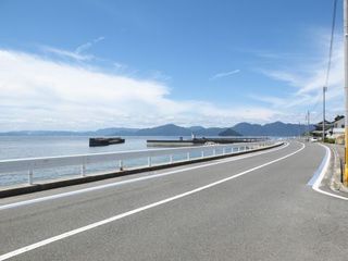 _S972099_1.jpg