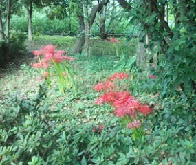 20170927_080930.jpg