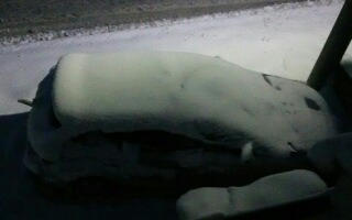 20180123_064842.jpg