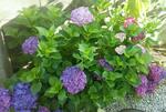 20190617_080626.jpg