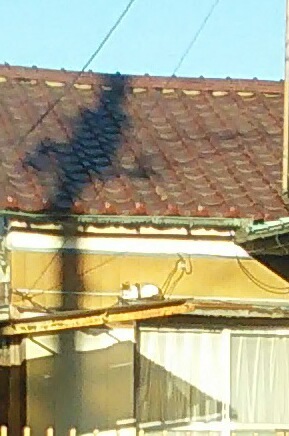 20191203_075935.jpg