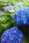 20220606_075939.jpg
