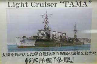 tama.jpg